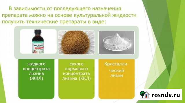 Жидкий концентрат лизина Каневская - изображение 1