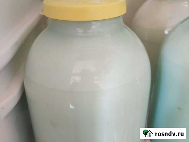 Молоко коровье домашнее Поляны - изображение 1