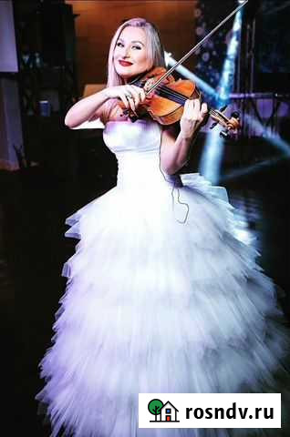 Скрипка на праздник Новосибирск - изображение 1