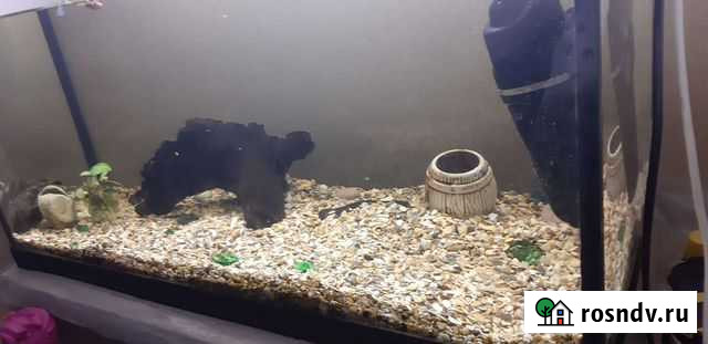 Грунт для аквариума Подольск - изображение 1