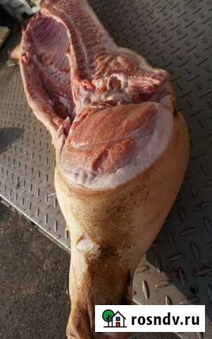 Свинина Новомосковск - изображение 1