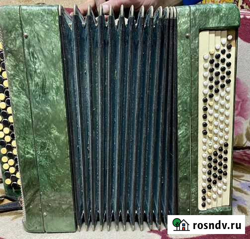 Баян Тульский Бийск - изображение 1