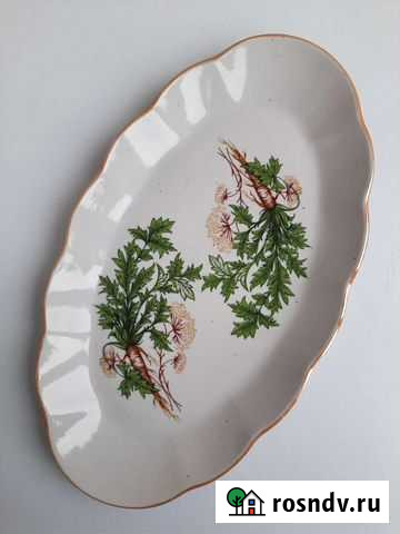 Блюдо овальное Сельдерей Троицк - изображение 1