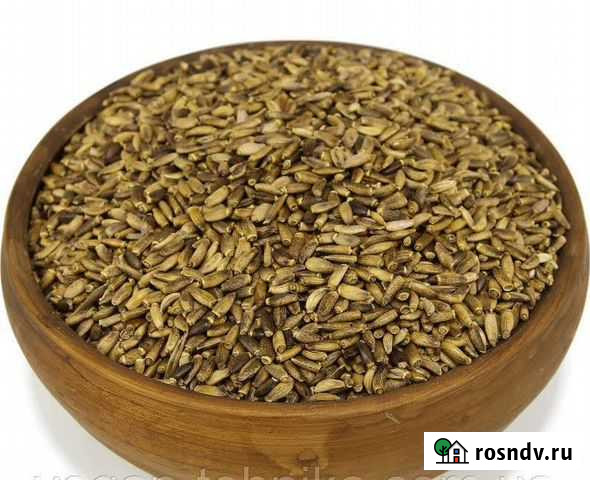 Семена расторопши Анапа - изображение 1