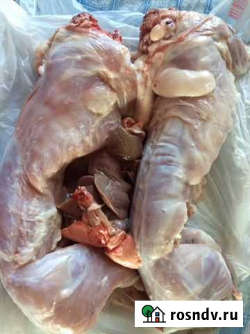 Продаю мясо кроликов Каменск-Шахтинский - изображение 1