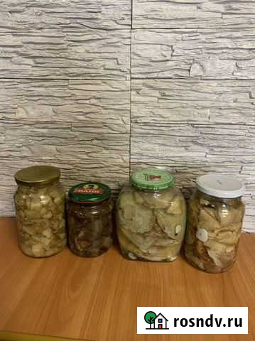 Белые грибы грузди опята Миасс - изображение 1