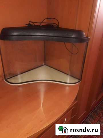 Аквариум Тюмень - изображение 1