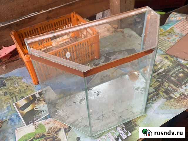 Аквариум террариум Томск - изображение 1