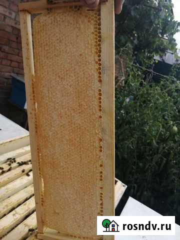 Мёд Владикавказ - изображение 1