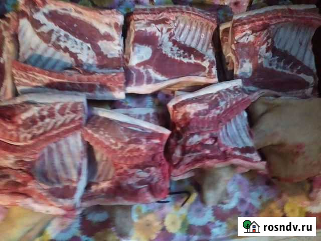 Свинина молодняк Бурла - изображение 1