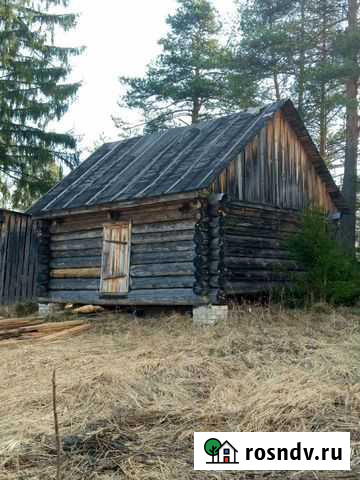 Сруб Нея - изображение 1