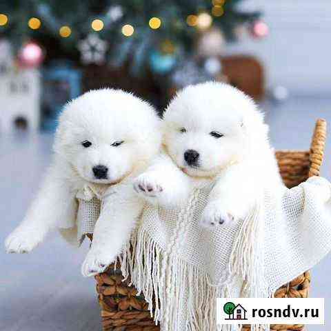 Фотосесии Барнаул