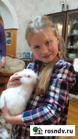 Кролики Супонево - изображение 1