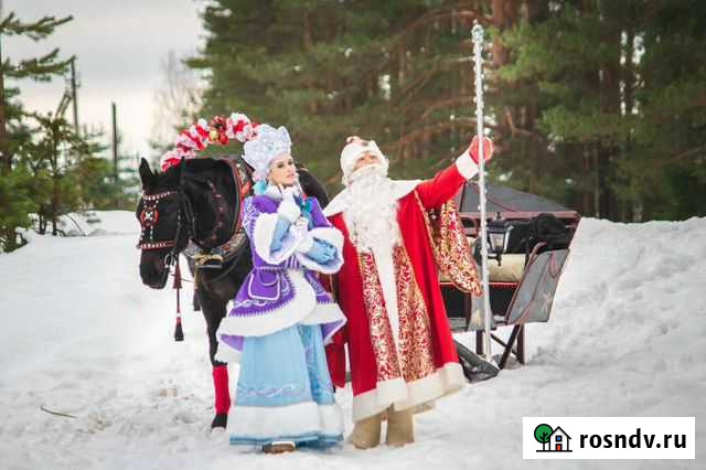 Дед Мороз и Снегурочка на санях с лошадкой Озерный - изображение 1
