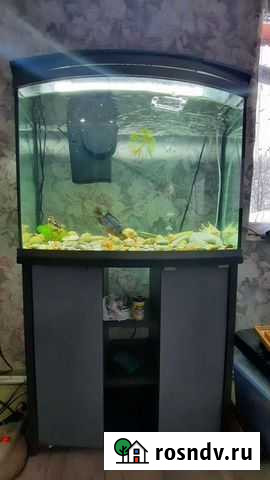 Аквариум с тумбой бу Орехово-Зуево - изображение 1