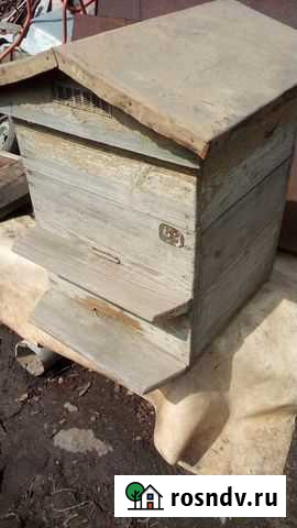 Улья для пчел Засечное - изображение 1