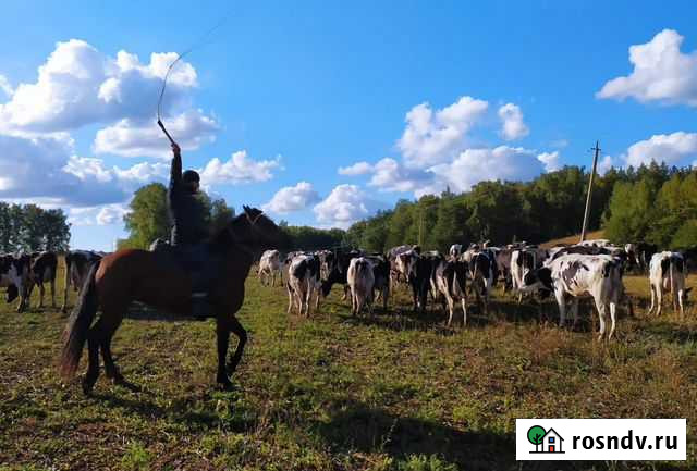 Генератор импульсов тор 3Дж 12000В 50км на букву Х Прибельский - изображение 1