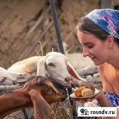 Козочки и крытые Козочки Балашов - изображение 1