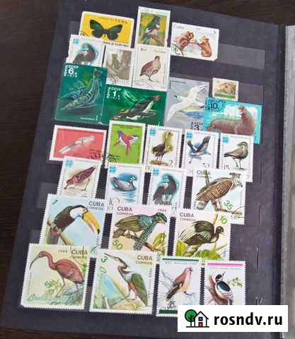 Альбом с марками СССР Новокузнецк - изображение 1