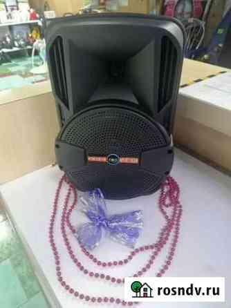 Колонка BIG sound DG-1011 Черемхово