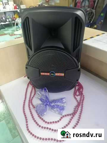 Колонка BIG sound DG-1011 Черемхово - изображение 1