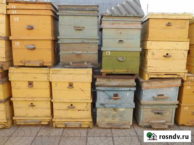 Ульи 14-рамочные Новоаннинский - изображение 1