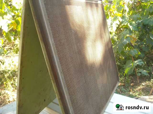 Варроатоза лечение Пчёл Новочеркасск - изображение 1