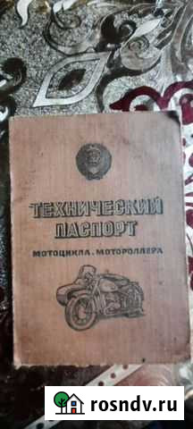 Муравей Тюмень - изображение 1