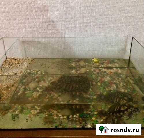 Аквариум Каменск-Уральский - изображение 1