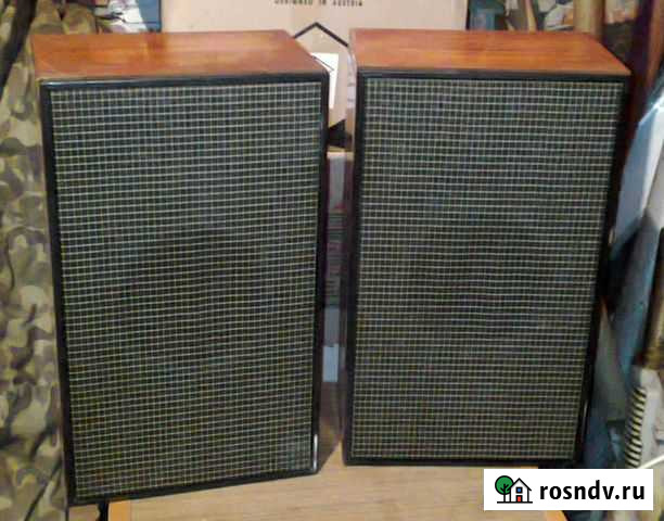 Акустическая система 3ас-505 Березники - изображение 1