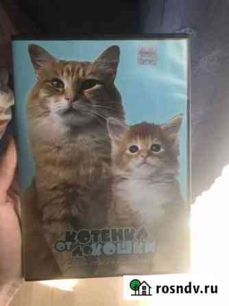DVD Фильм о кошках Дзержинск