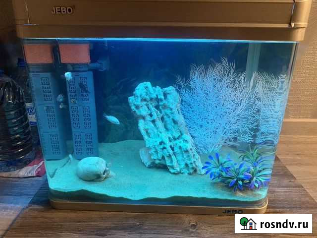 Панорамный аквариум Jebo псевдоморе Кемерово - изображение 1
