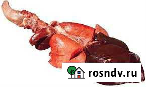 Ливер свиной Кузнецк - изображение 1