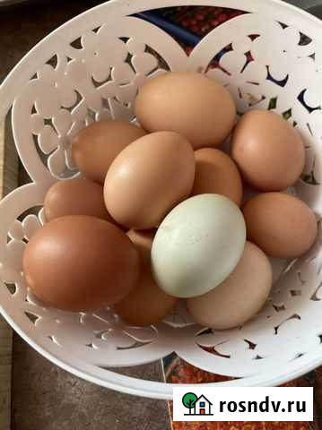 Яйца Киров - изображение 1