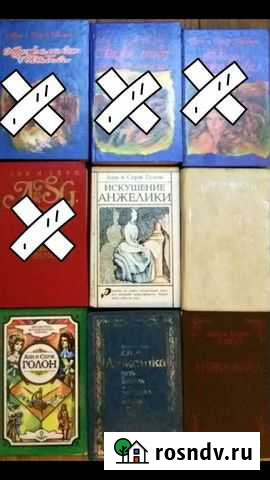 Книги серии Анжелика Анн и Серж Голон Пионерский - изображение 1