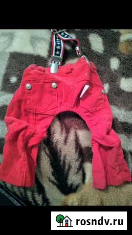 Одежда для маленьких собак Лосино-Петровский - изображение 1