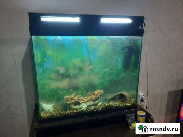 Украшение для аквариума Тольятти - изображение 1