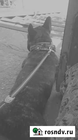 Рулетка Flexi Vario M (трос) 8м Чистенькая - изображение 1