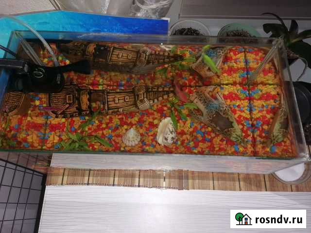 Аквариум комплект Глазов - изображение 1