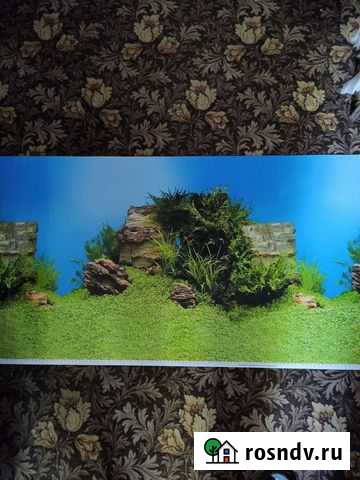 Фон для аквариума Саки - изображение 1