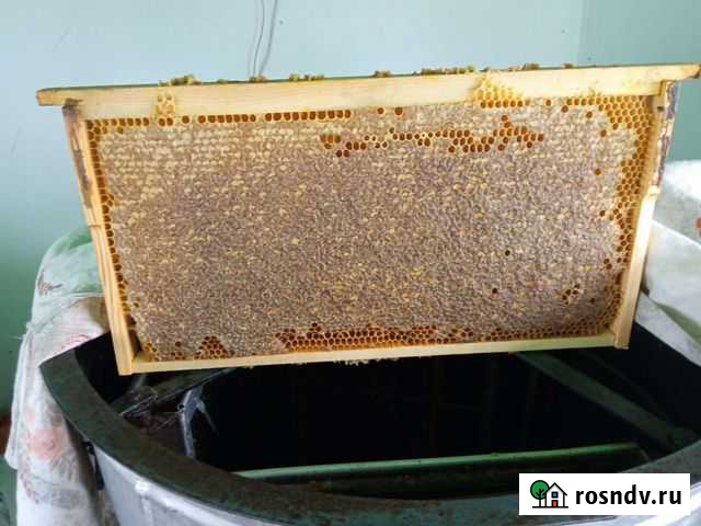 Мёд Крымский натуральный Симферополь - изображение 1