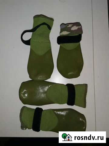 Носки для собак Новомосковск - изображение 1