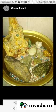 Для аквариума Тюмень - изображение 1