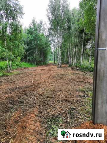 Услуги мульчера. Расчитска от деревьев Нижний Новгород - изображение 1