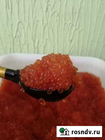 Икра Красная Камчатка 2021 Каменск-Шахтинский - изображение 1