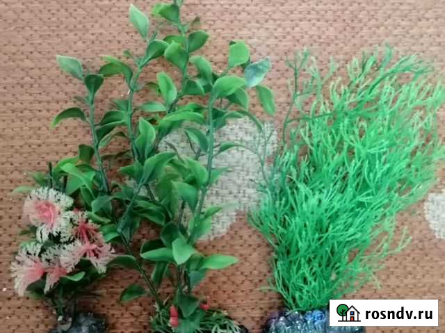 Аксессуары для аквариума Ноябрьск - изображение 1