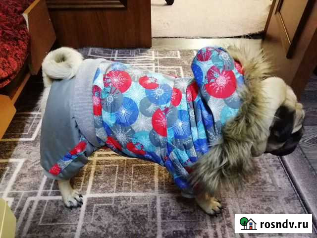 Комбинезон для собаки Тарко-Сале - изображение 1