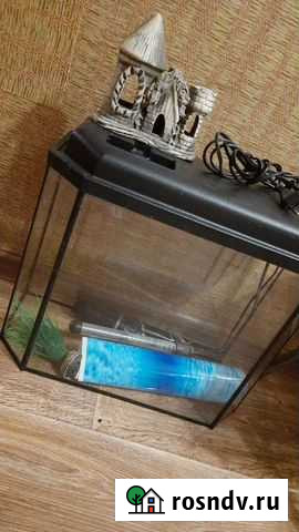 Аквариум Саратов - изображение 1