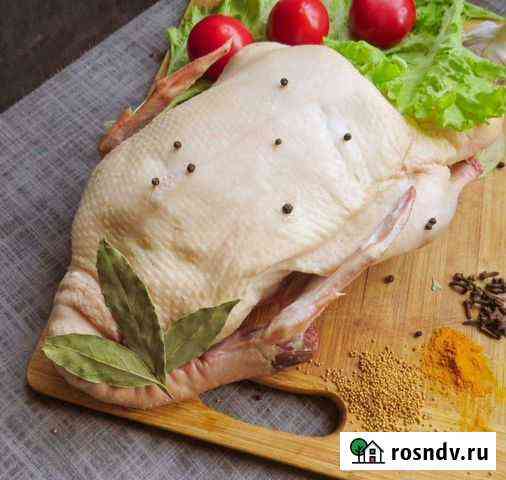 Утка домашняя, мясо утки Симферополь