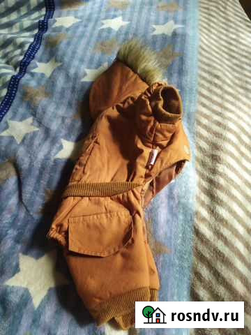 Одежда для собачки Новомосковск - изображение 1